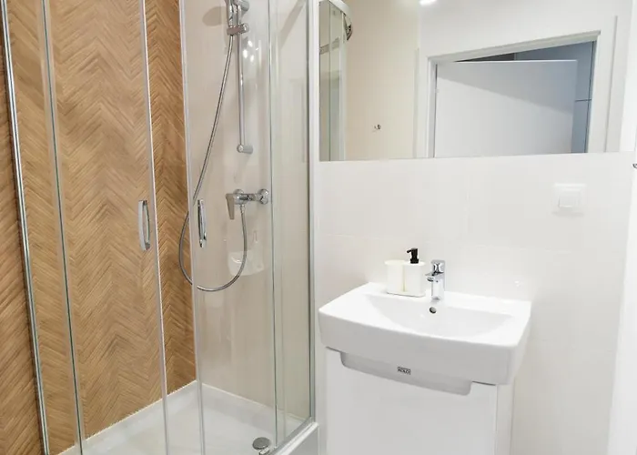 Silver Forest Στσέτσιν