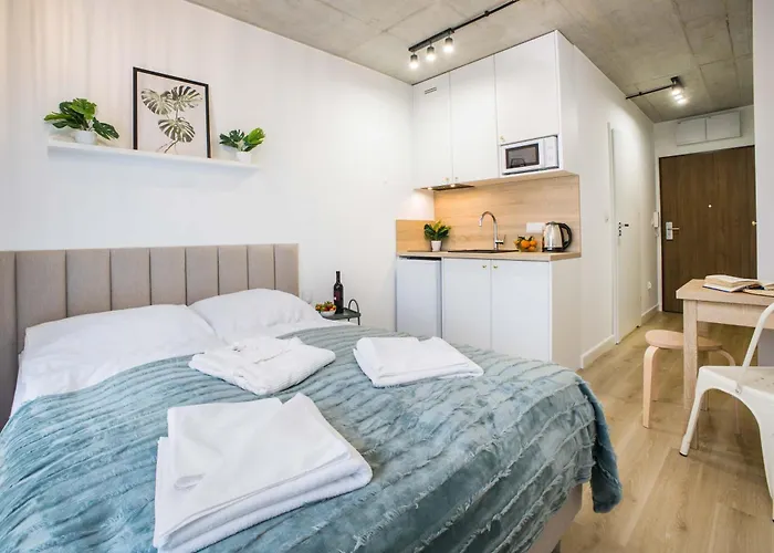 Silver Forest Στσέτσιν